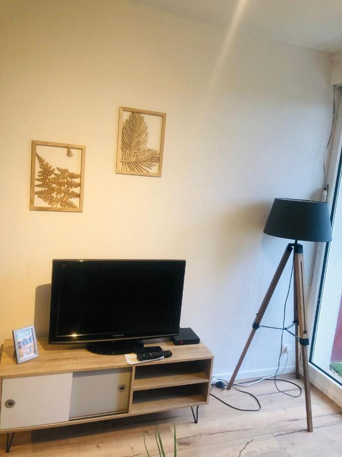 Le Petit Park-Studio-Terrasse- Piscine-Wifi Fibre Apartment Pau Luaran gambar